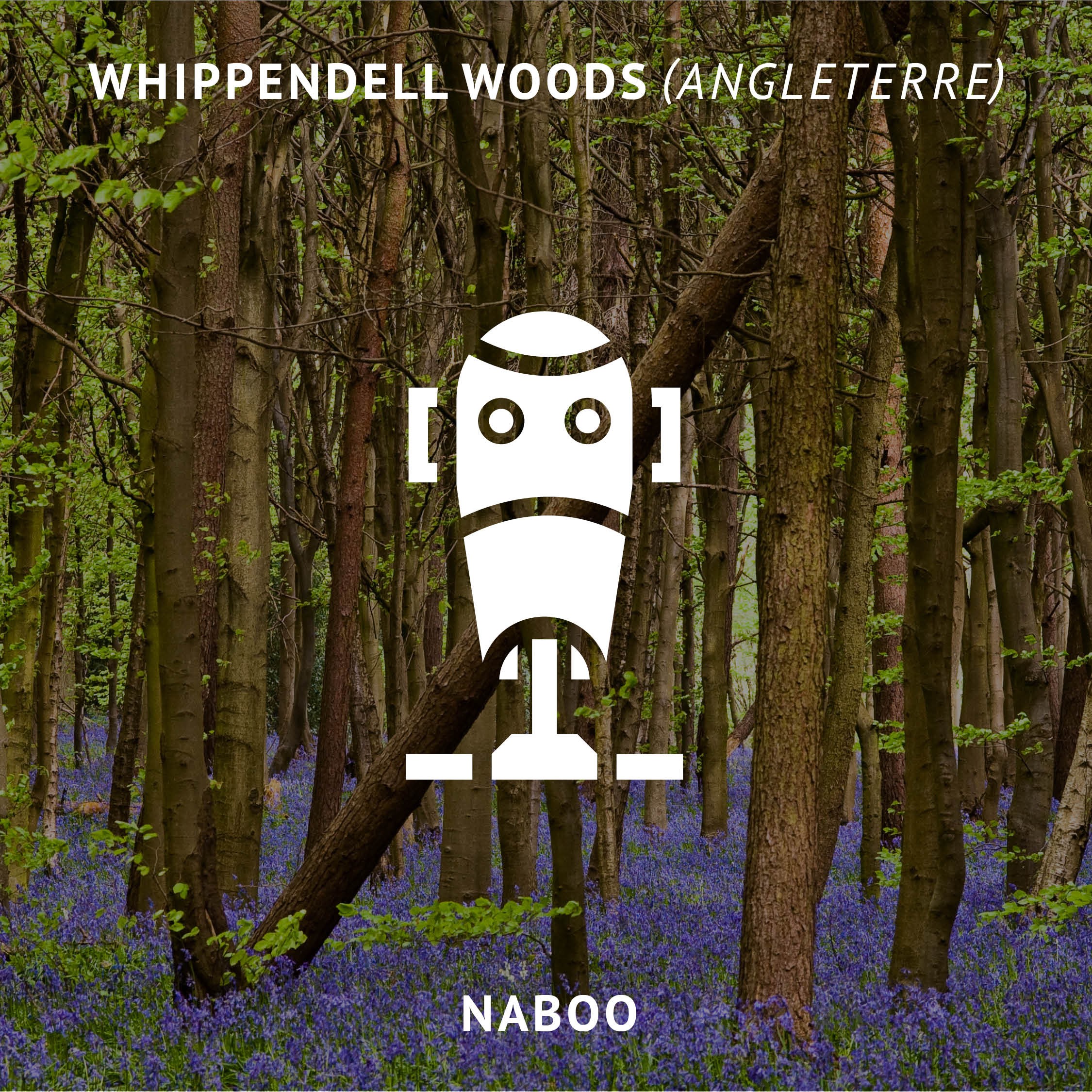 Whippendell Woods à Watford en Angleterre