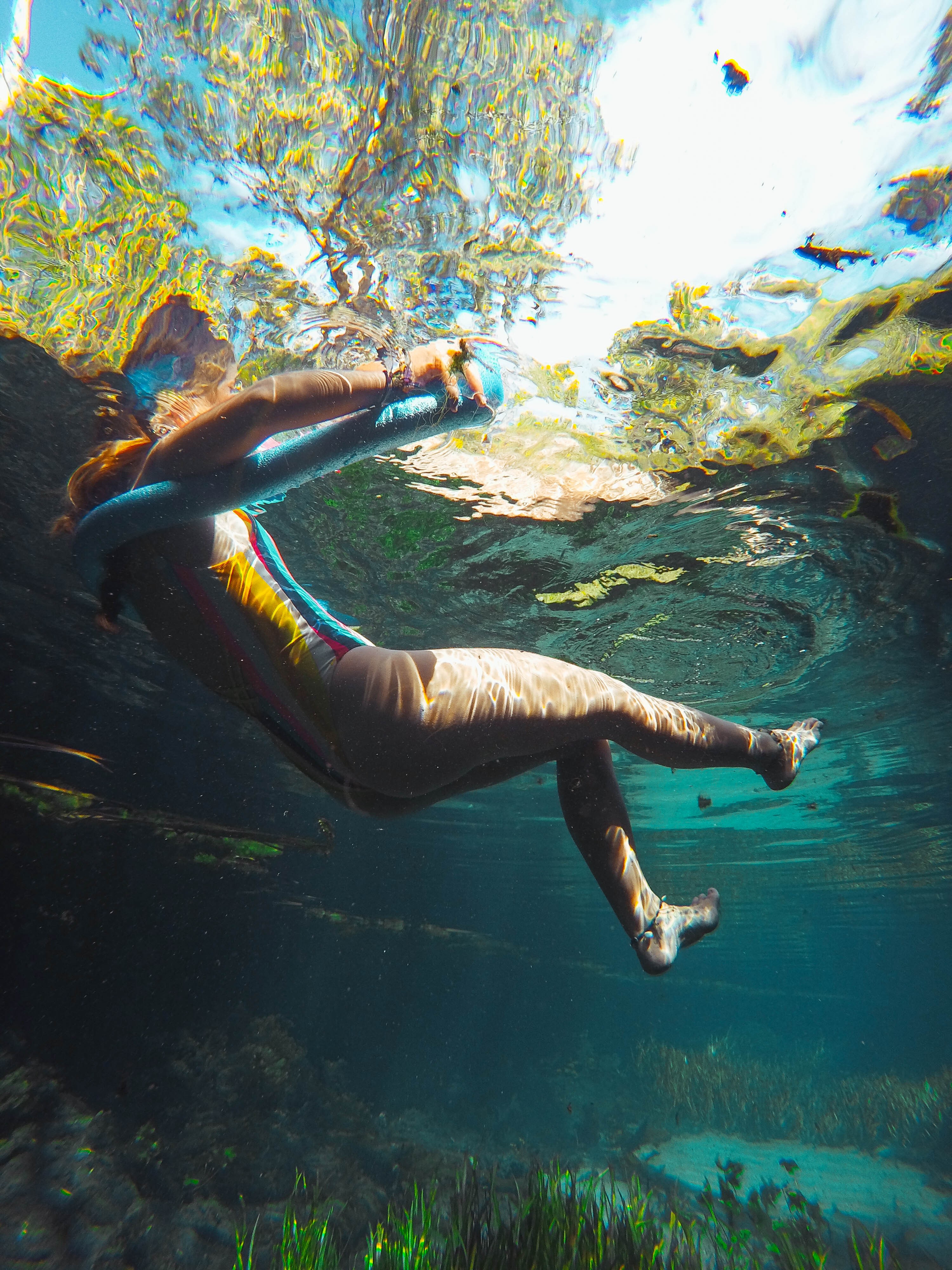 Mataranka : Bitter Springs