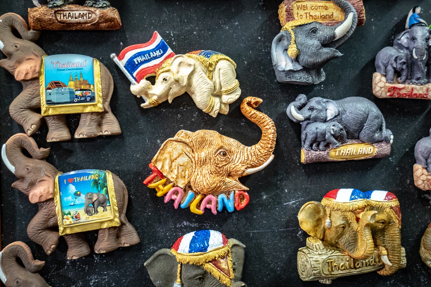 éléphants en Thailande