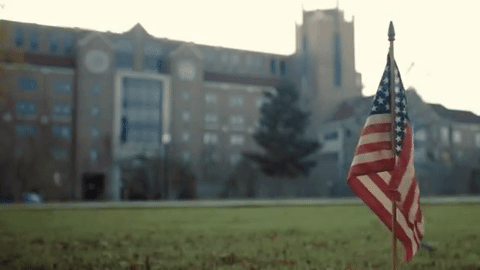 GIF USA SEJOUR LINGUISTIQUE READY TO GO
