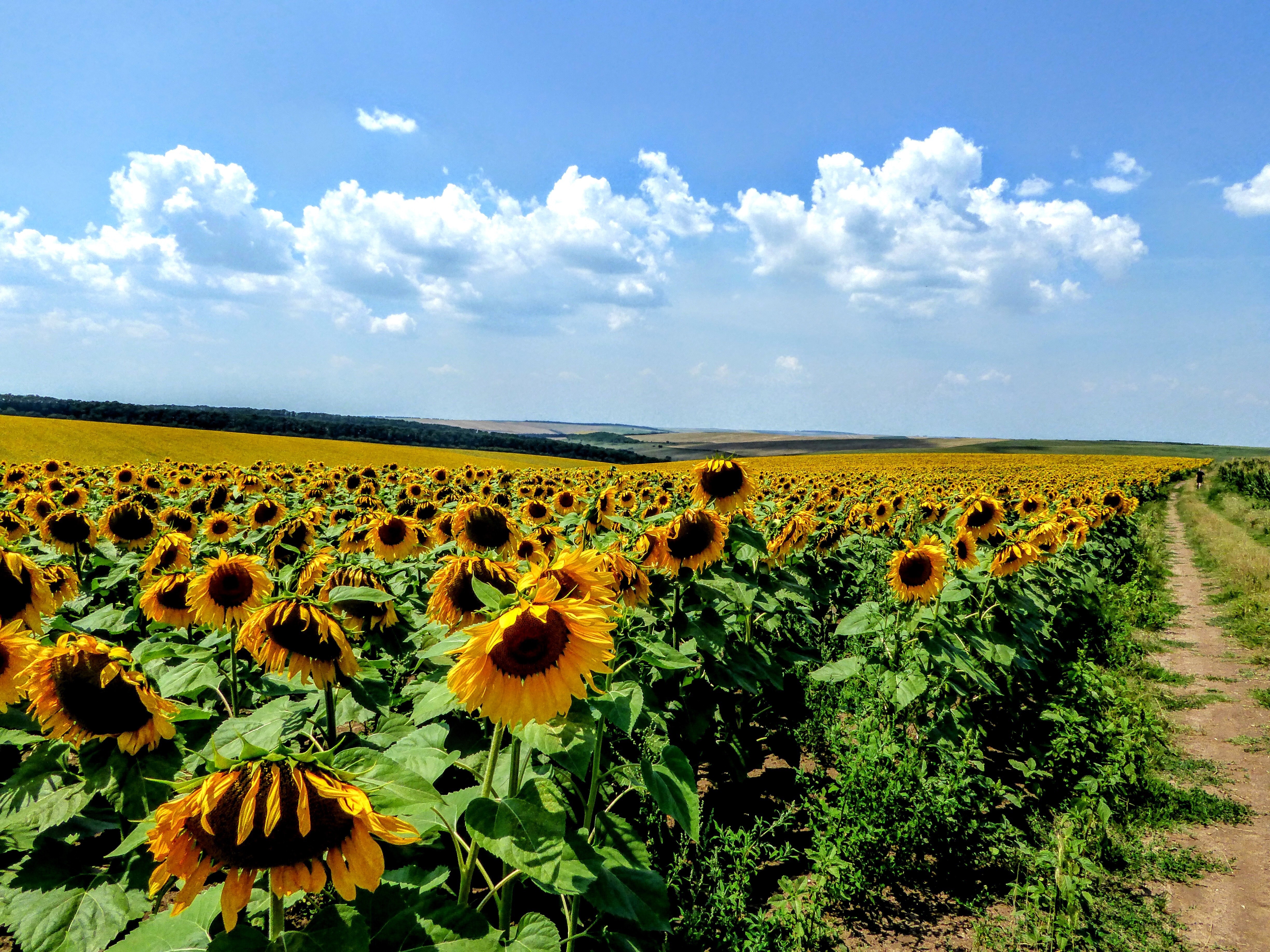 Climat en Bulgarie