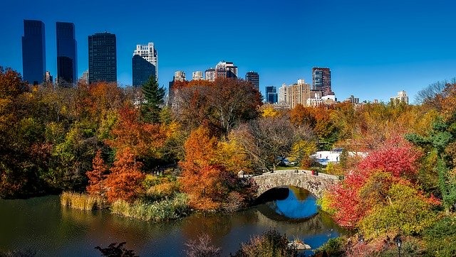 Se promener à Central Park - New York