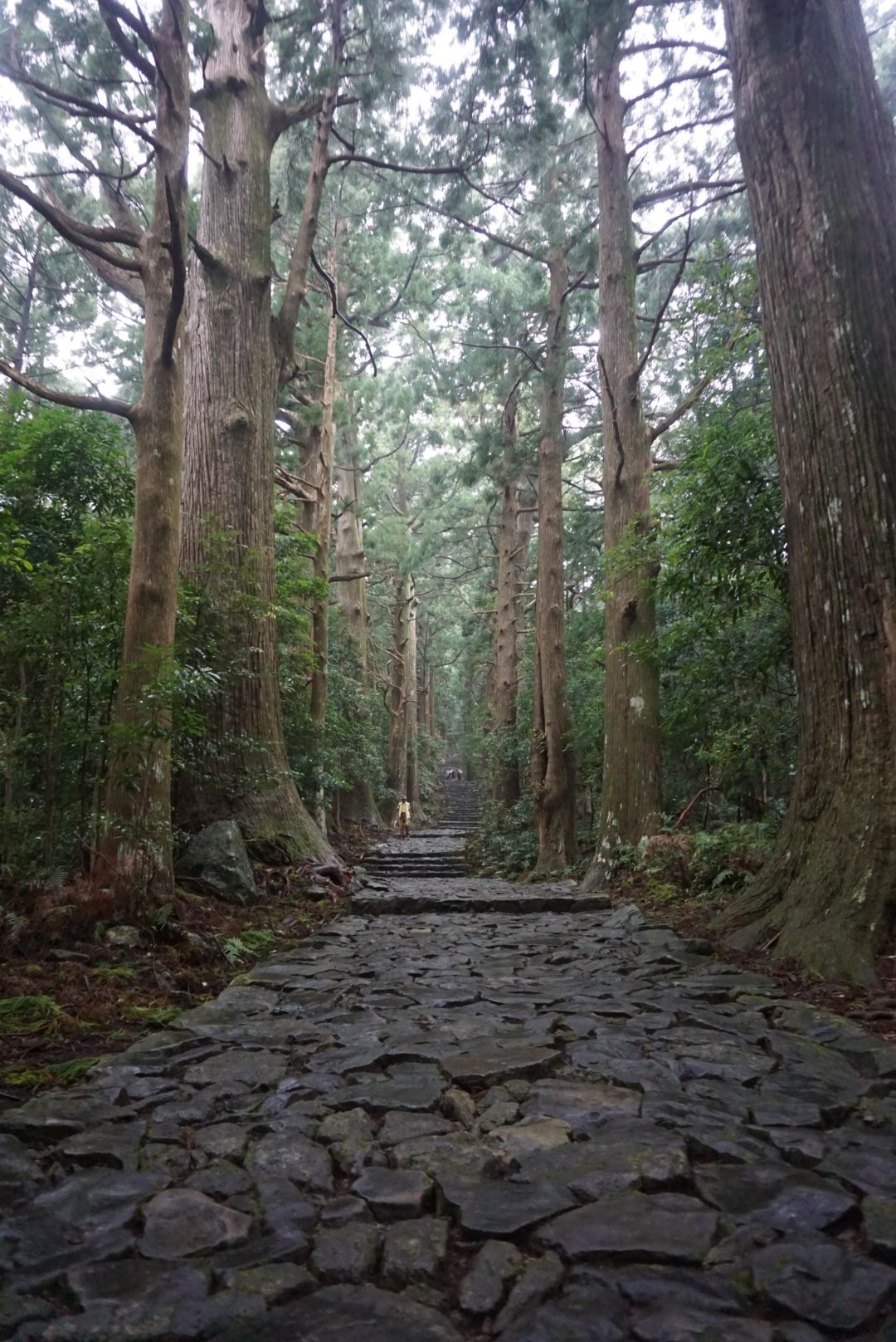 Noho travels : séjour dans la péninsule de Wakayama